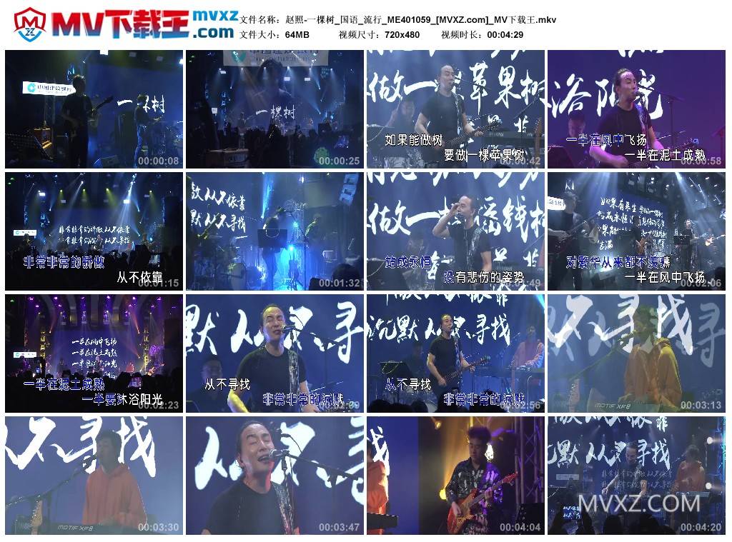 赵照-一棵树_国语_流行_ME401059